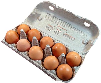 Hueveras de Cartón Docena Huevos de Gallina Joven Tamaño L (pack 10, L) :  : Otros Productos